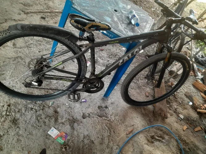 Bicicleta 29