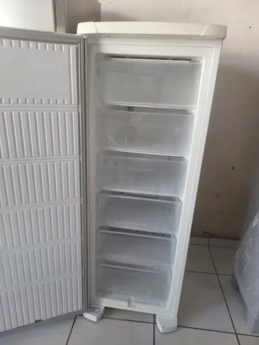 Frezeer vertical Eletrolux