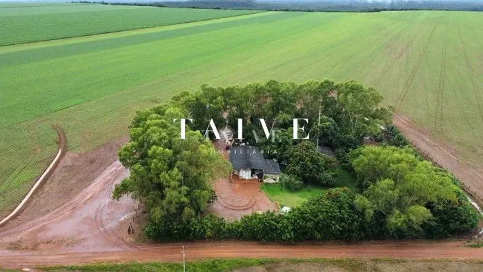 Fazenda 850 hectares à venda, em Sapezal MT, plantio soja e milho plana e mecanizável, com