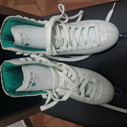Patins profissional de gelo
