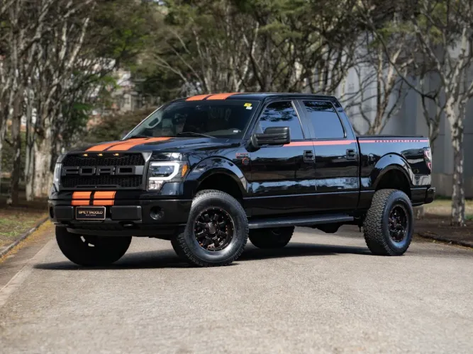 Ford F-150 XLT Triton 4.6 V8 2009