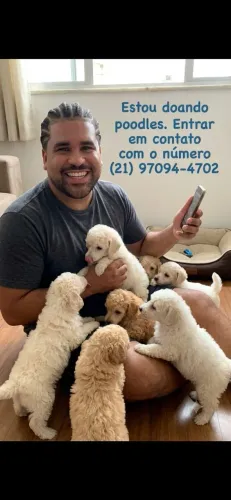 Cachorro 