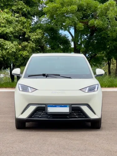 BYD Dolphin Mini 2024