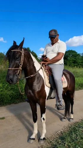 Cavalo pampa de preto mangalarga marchador 