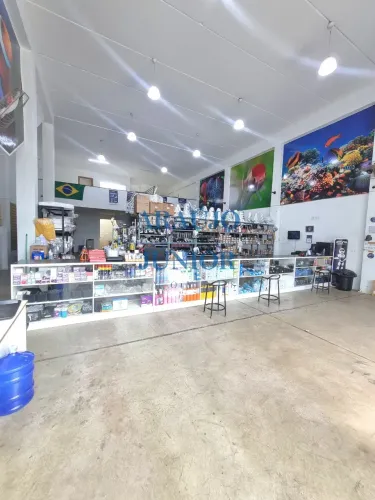 Barracão comercial à venda em Santa Bárbara D'oeste-SP, Jardim Cândido Bertini: 2 salas, 4