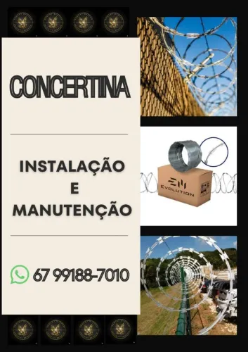 Concertina: Barreira Física de Excelência