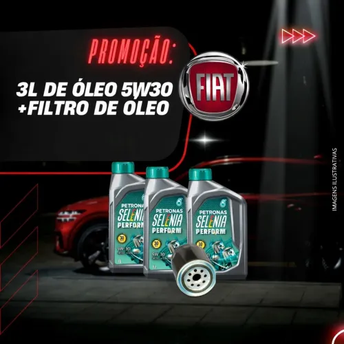 Troca de óleo 5w30 Selenia 