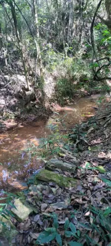 Sítio 10.000m2, Córrego Fundos, BR040 Balaios, Caetanópolis / Paraopeba