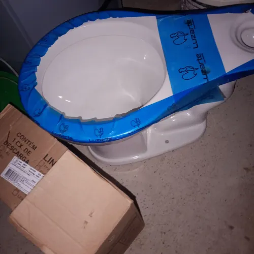 Vendo vaso sanitário completo