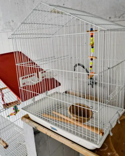 Gaiola