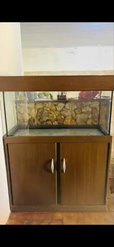 Aquário 200 litros