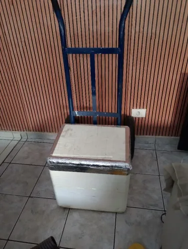 Carrinho de carga e Caixa de isopor 45lt