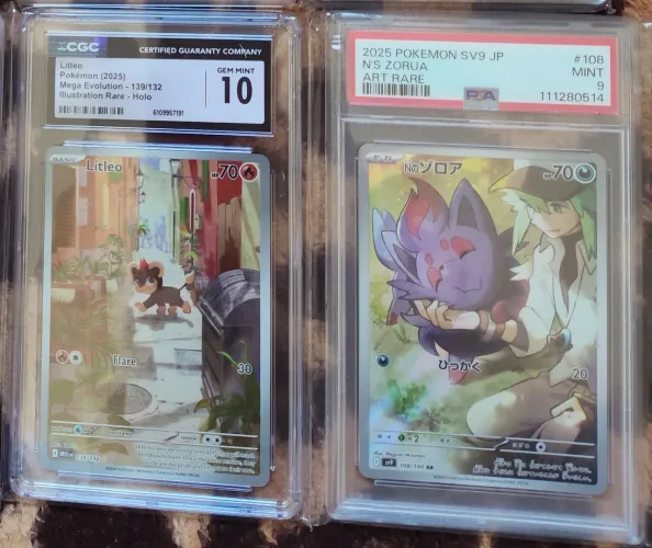 Cartas pokémon graduadas litleo e n's zorua