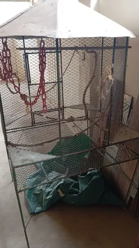 Viveiro em aço suspenso 1m x 1m x 1,2m