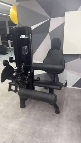 Cadeira extensora e flexora conjugada semi nova