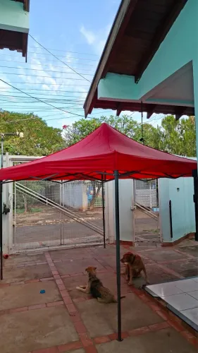 Tenda Sanfonada 3x3