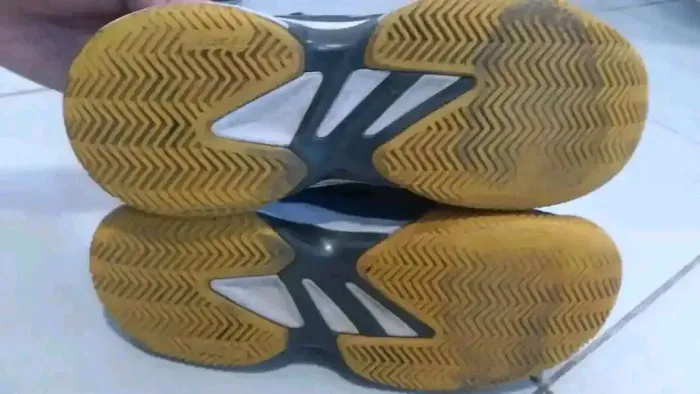 Tenis