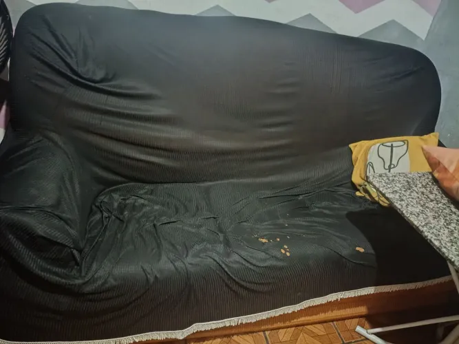 Sofá 2 e 3 lugares 