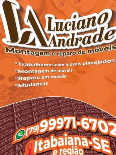 Kit mudança equipe completa desmontagem e montagem de móveis.