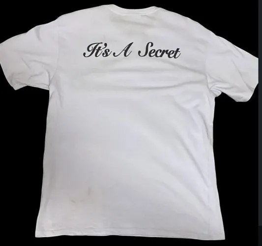 Camisa Trapstar ?its a secret?