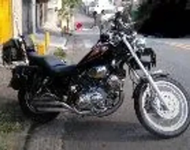 Virago1100 