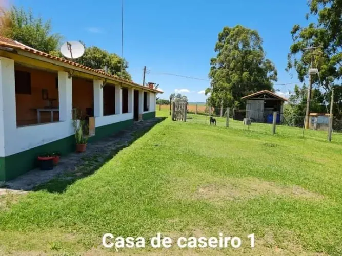 Sítio 10 Alqueires, Acesso Asfaltado, 1 Casa Sede 500m2, 2 Casas Caseiro, 3 Barracões de G