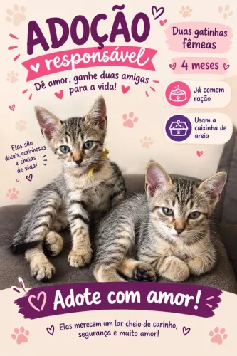 Doação responsável