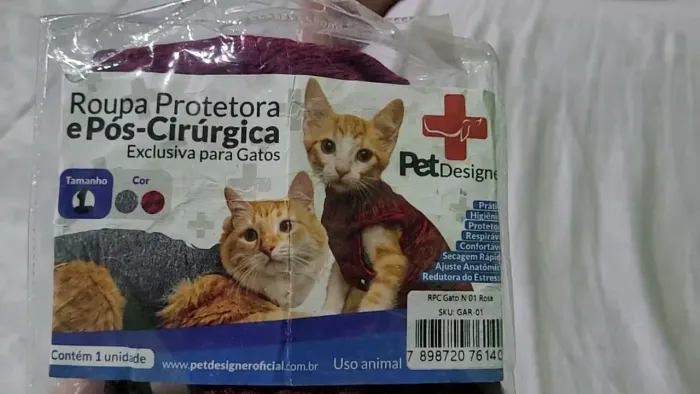Roupa pós-cirúrgica gato