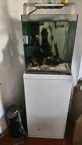 Aquário completo
