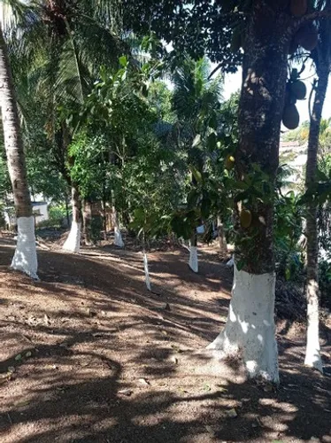 TERRENOS CHÁCARAS EM SETIBA