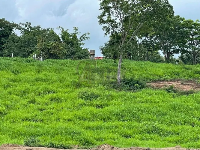 Terreno com Área Verde em Local Tranquilo