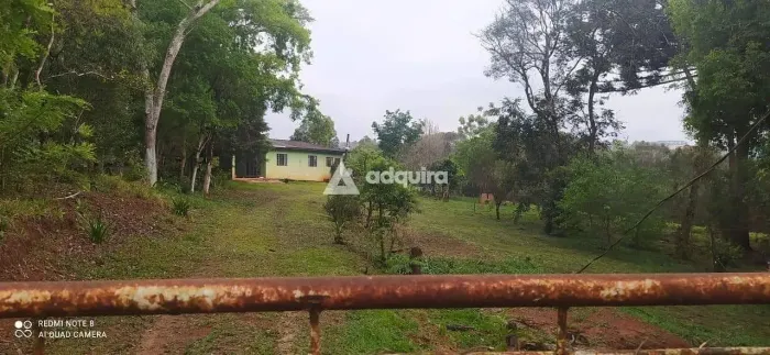 Chácara à venda, Tibagi, Alto do Amparo, PR