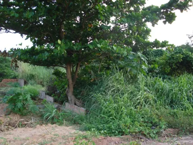 Vende-se uma área de 3180,74 m2 na Br 135