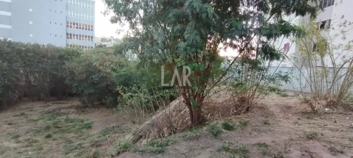 Lote - Terreno à venda, Estoril - Belo Horizonte/MG
