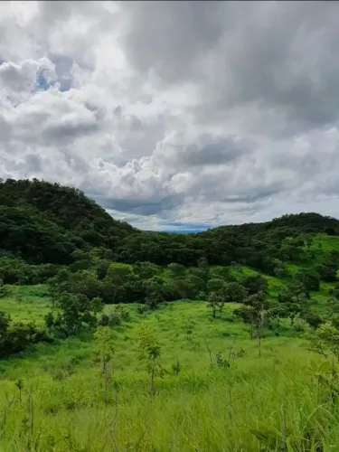 Vende-se fazenada em Faina-Goias com 55 Alqueires