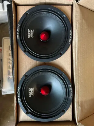 Médios 6 polegadas 300 rms cada