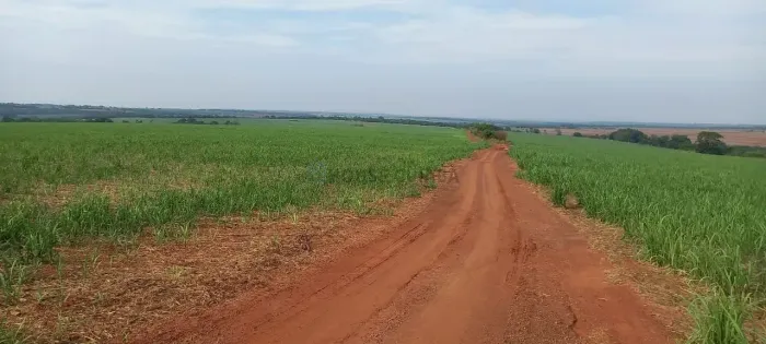 fazenda de 150 alqueires (360 hectares), com 100 alqueres plantado de cana em Ub
