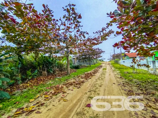Terreno | São Francisco do Sul | Ervino
