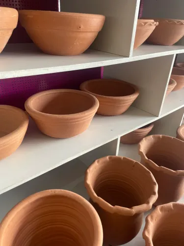 Vasos de plantas