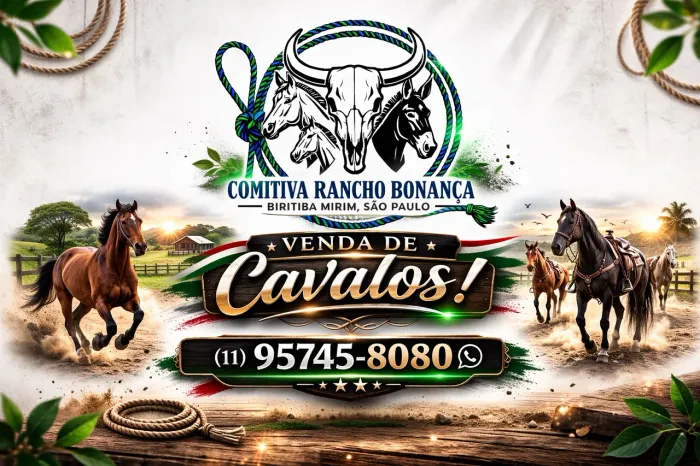 Compra e Venda de Cavalos