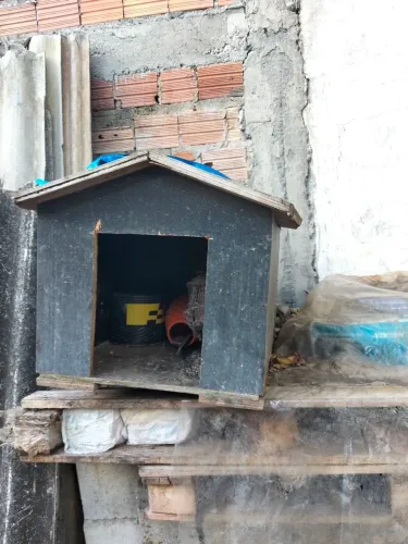 Vendo casinha de cachorro
