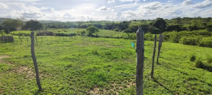 terreno em limoeiro