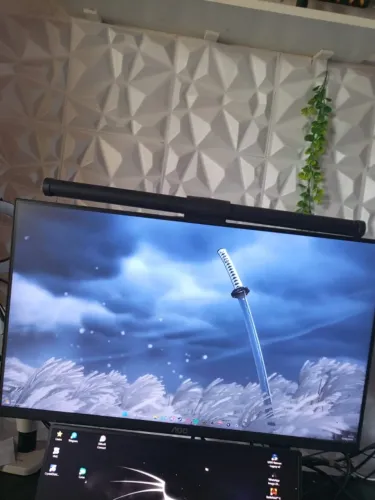 MONITOR 24pol 100hz 
