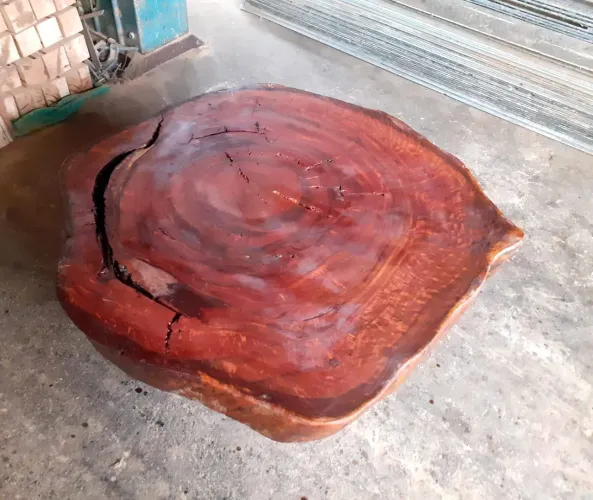Mesa de centro madeira bolaxa árvore