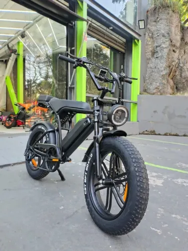 E-BIKE NV 700W