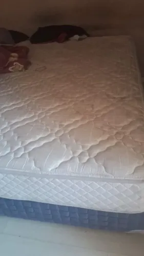 Cama king castor 