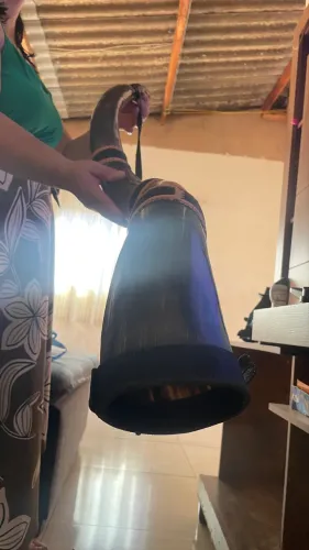 Berrante semi novo