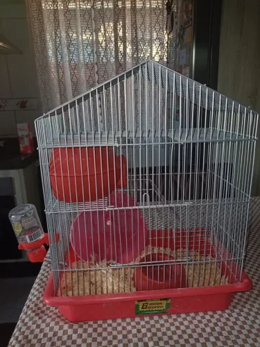 Gaola para Periquito ou Hamster
