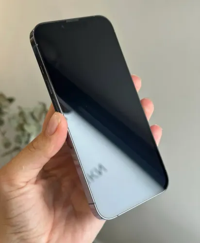 iPhone 13 Pro Max 256gb