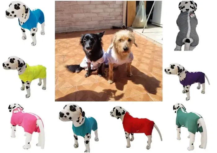 Kir 06 peças Roupa Pós-Cirúrgica Pet: Proteção e Conforto do Tamanho 1 ao 7 ?